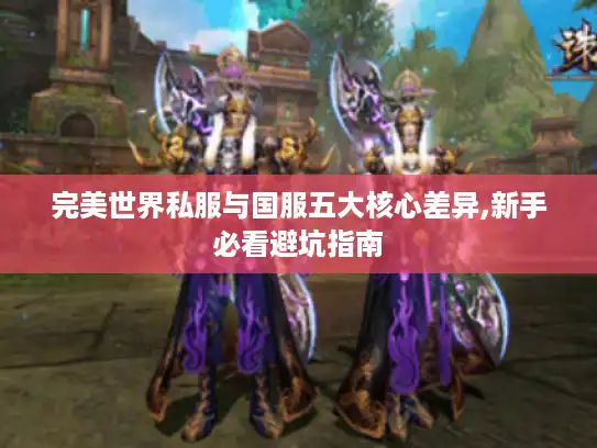 完美世界私服与国服五大核心差异,新手必看避坑指南