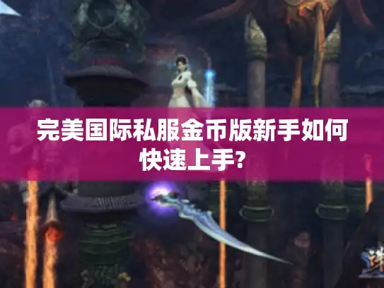 完美国际私服金币版新手如何快速上手?