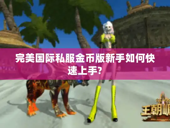 完美国际私服金币版新手如何快速上手?