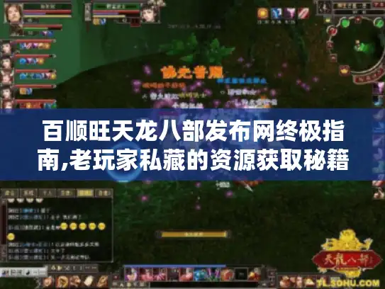 百顺旺天龙八部发布网终极指南,老玩家私藏的资源获取秘籍