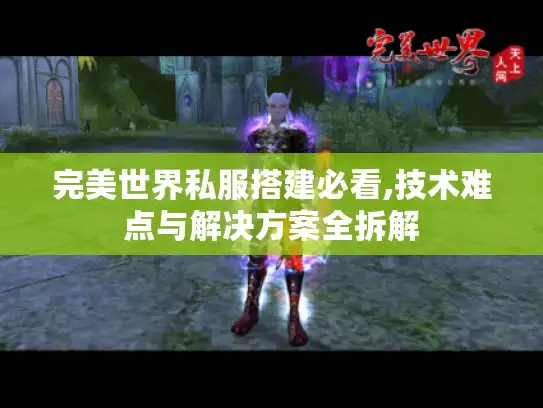 完美世界私服搭建必看,技术难点与解决方案全拆解