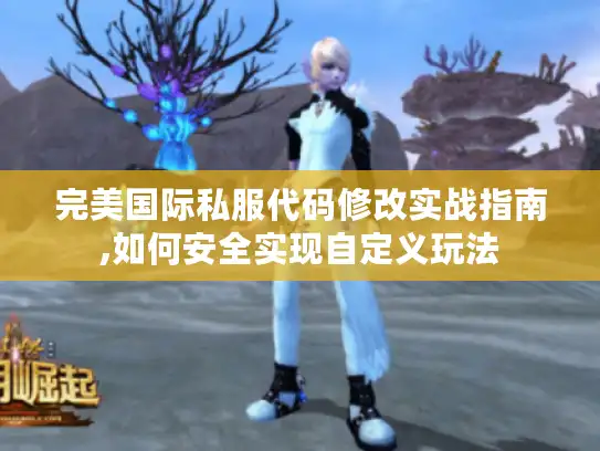 完美国际私服代码修改实战指南,如何安全实现自定义玩法