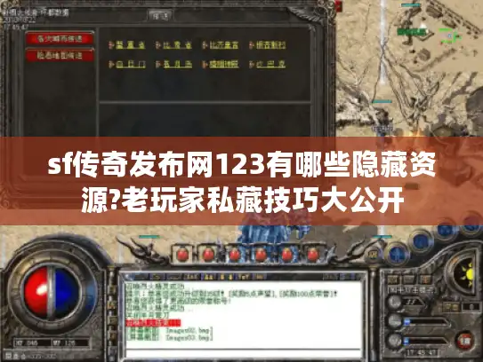 sf传奇发布网123有哪些隐藏资源?老玩家私藏技巧大公开 sf传奇发布网123有哪些隐藏资源?老玩家私藏技巧大公开
