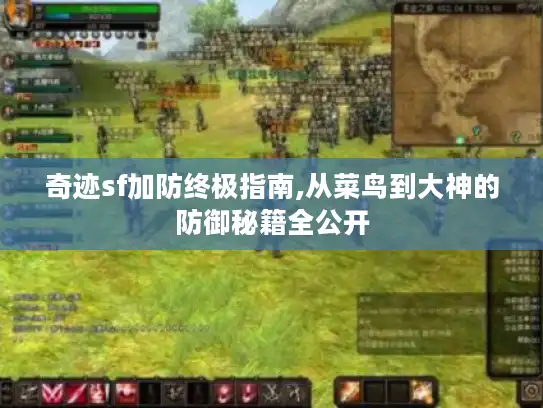 奇迹sf加防终极指南,从菜鸟到大神的防御秘籍全公开