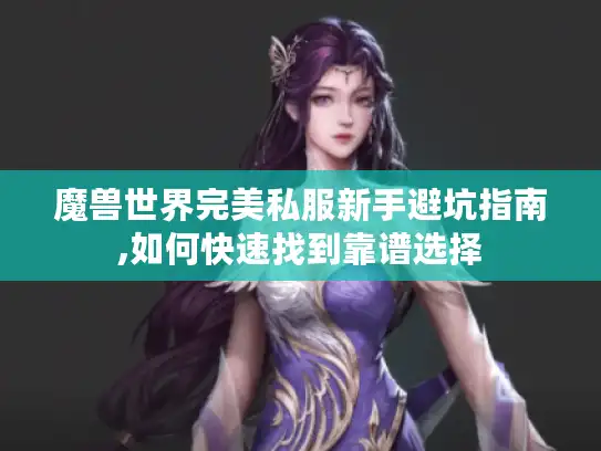 魔兽世界完美私服新手避坑指南,如何快速找到靠谱选择