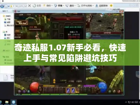 奇迹私服1.07新手必看,快速上手与常见陷阱避坑技巧 奇迹私服1.07新手必看,快速上手与常见陷阱避坑技巧