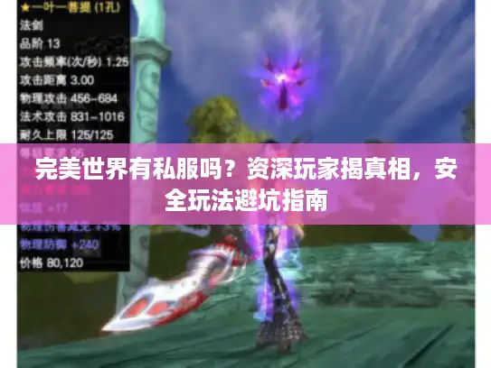 完美世界有私服吗？资深玩家揭真相，安全玩法避坑指南