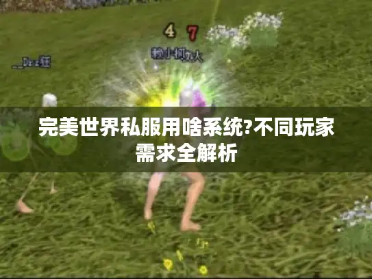 完美世界私服用啥系统?不同玩家需求全解析