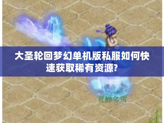 大圣轮回梦幻单机版私服如何快速获取稀有资源?