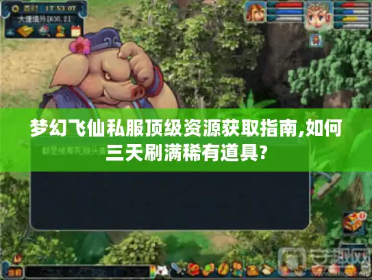 梦幻飞仙私服顶级资源获取指南,如何三天刷满稀有道具?