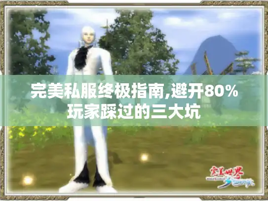 完美私服终极指南,避开80%玩家踩过的三大坑