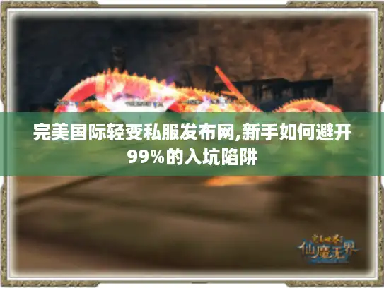 完美国际轻变私服发布网,新手如何避开99%的入坑陷阱
