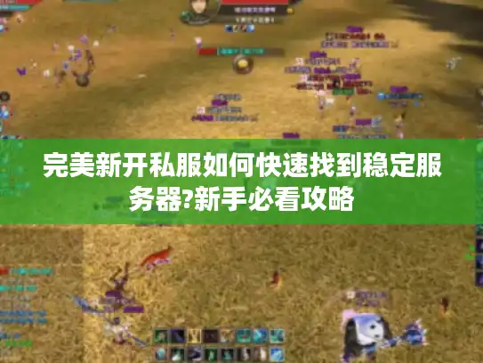 完美新开私服如何快速找到稳定服务器?新手必看攻略