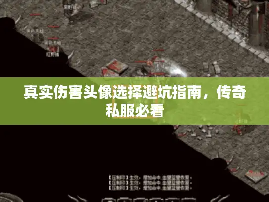 真实伤害头像选择避坑指南，传奇私服必看