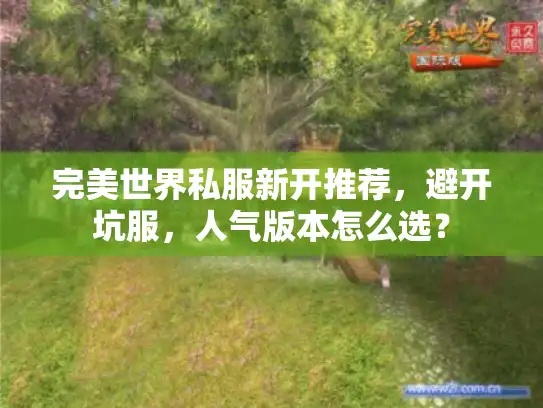完美世界私服新开推荐，避开坑服，人气版本怎么选？