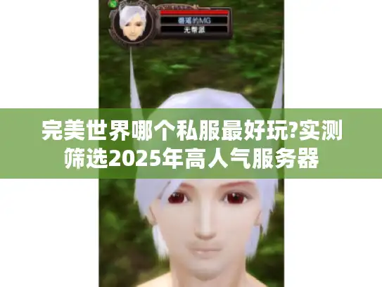 完美世界哪个私服最好玩?实测筛选2025年高人气服务器 完美世界哪个私服最好玩?实测筛选2025年高人气服务器