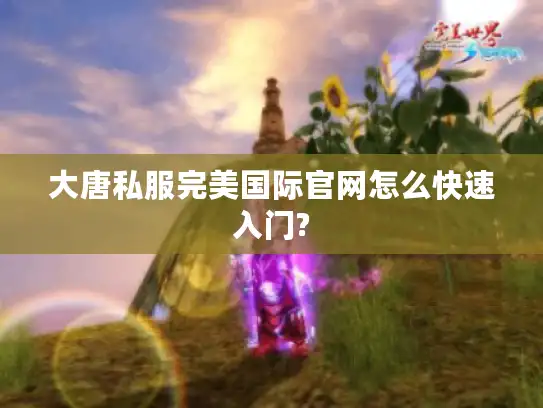 大唐私服完美国际官网怎么快速入门? 大唐私服完美国际官网怎么快速入门?