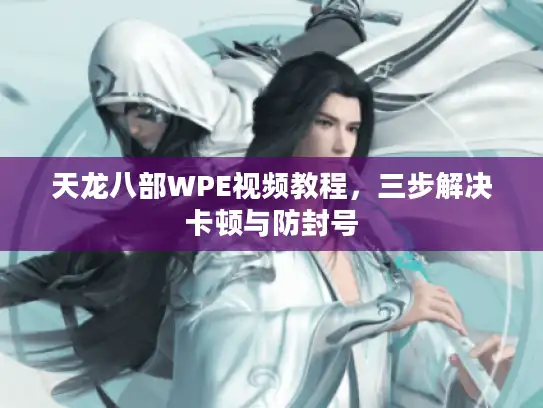 天龙八部WPE视频教程，三步解决卡顿与防封号