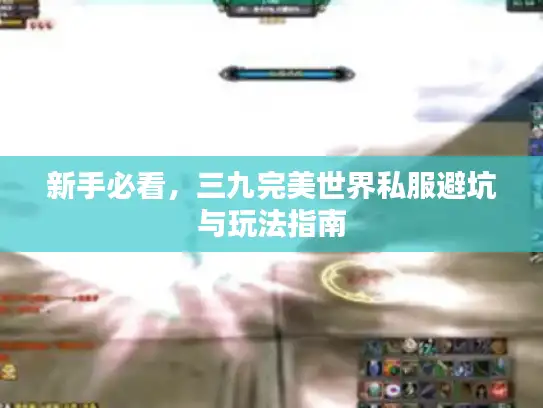 新手必看，三九完美世界私服避坑与玩法指南