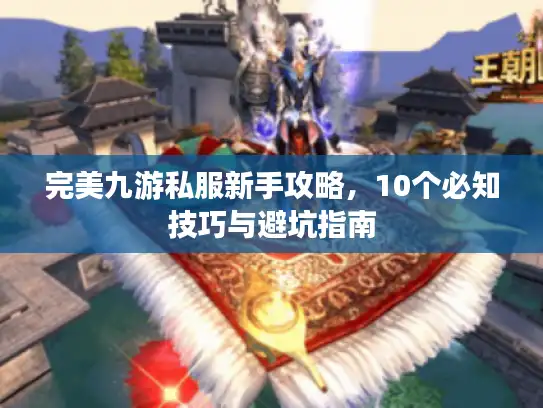 完美九游私服新手攻略,10个必知技巧与避坑指南 完美九游私服新手攻略,10个必知技巧与避坑指南