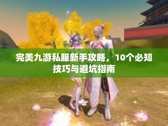 完美九游私服新手攻略,10个必知技巧与避坑指南 完美九游私服新手攻略,10个必知技巧与避坑指南