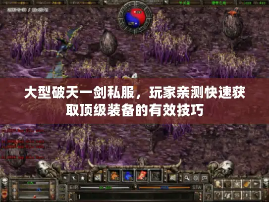 大型破天一剑私服,玩家亲测快速获取顶级装备的有效技巧 大型破天一剑私服,玩家亲测快速获取顶级装备的有效技巧