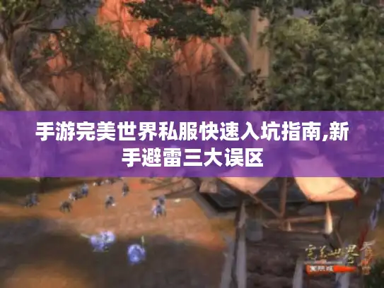 手游完美世界私服快速入坑指南,新手避雷三大误区