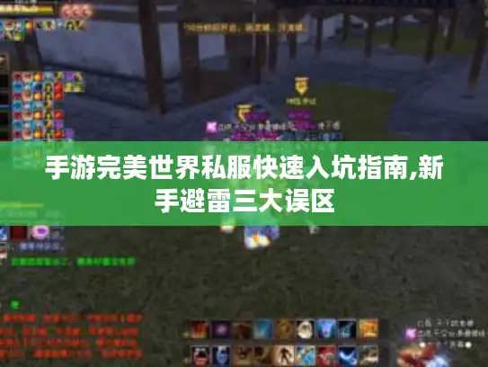 手游完美世界私服快速入坑指南,新手避雷三大误区