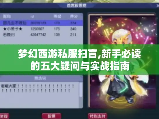梦幻西游私服扫盲,新手必读的五大疑问与实战指南