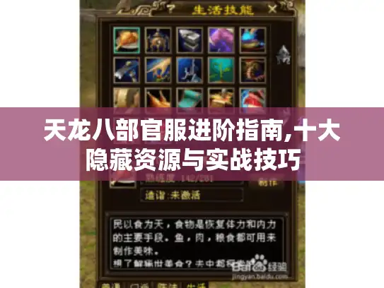 天龙八部官服进阶指南,十大隐藏资源与实战技巧