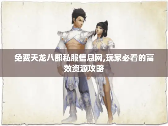 免费天龙八部私服信息网,玩家必看的高效资源攻略