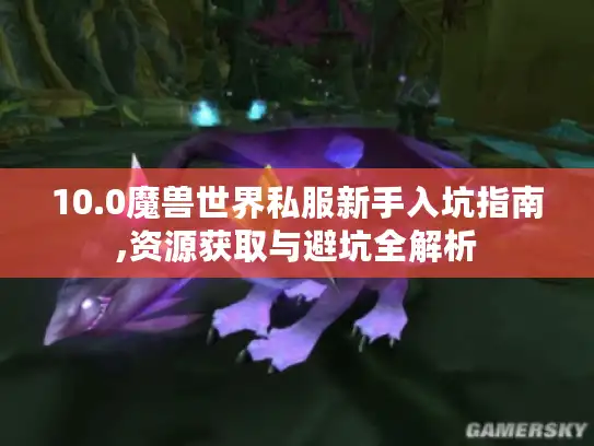 10.0魔兽世界私服新手入坑指南,资源获取与避坑全解析 10.0魔兽世界私服新手入坑指南,资源获取与避坑全解析