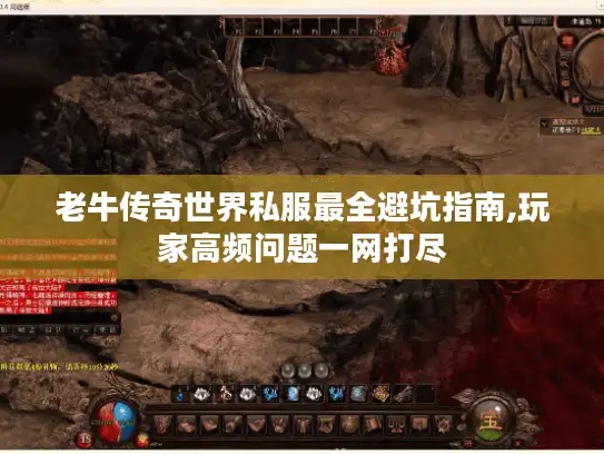老牛传奇世界私服最全避坑指南,玩家高频问题一网打尽