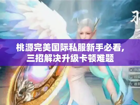 桃源完美国际私服新手必看,三招解决升级卡顿难题