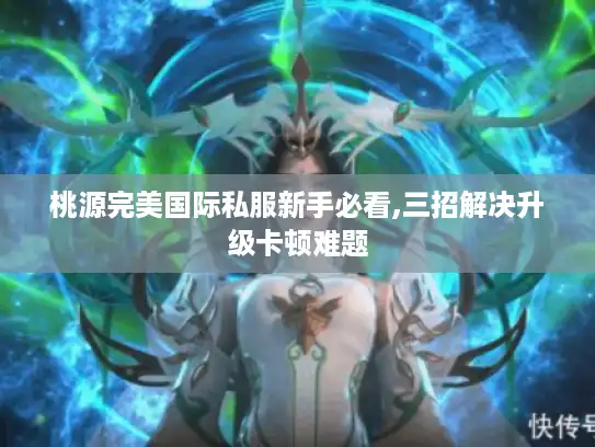 桃源完美国际私服新手必看,三招解决升级卡顿难题