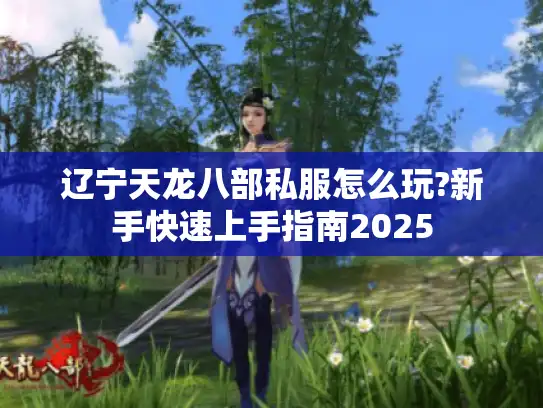 辽宁天龙八部私服怎么玩?新手快速上手指南2025