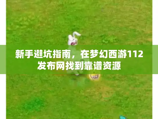 新手避坑指南，在梦幻西游112发布网找到靠谱资源