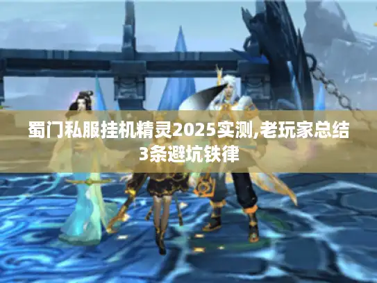 蜀门私服挂机精灵2025实测,老玩家总结3条避坑铁律