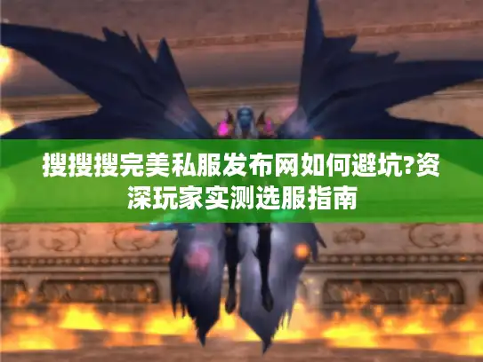 搜搜搜完美私服发布网如何避坑?资深玩家实测选服指南