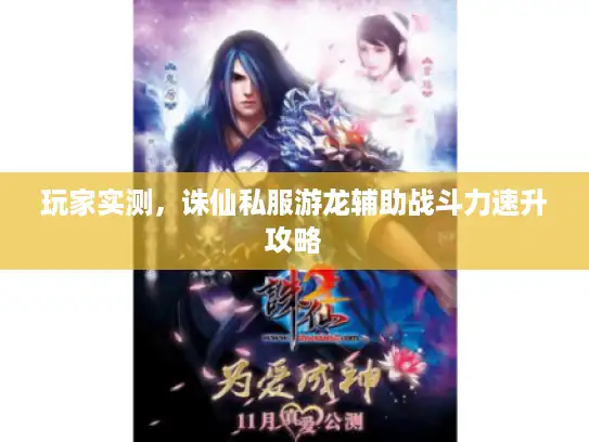玩家实测，诛仙私服游龙辅助战斗力速升攻略