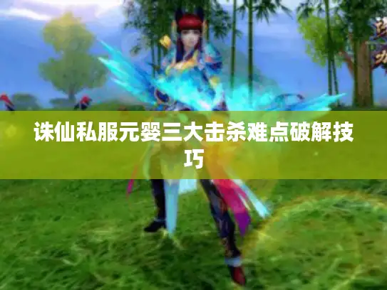 诛仙私服元婴三大击杀难点破解技巧