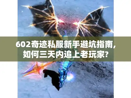 602奇迹私服新手避坑指南,如何三天内追上老玩家?