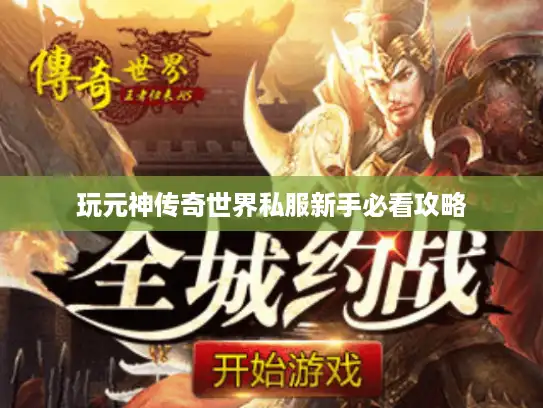 玩元神传奇世界私服新手必看攻略