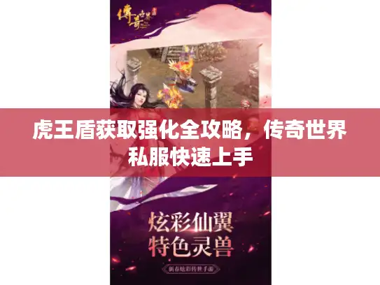 虎王盾获取强化全攻略，传奇世界私服快速上手