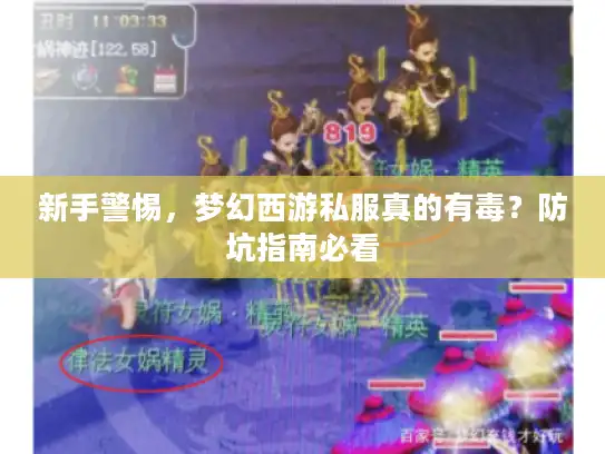 新手警惕,梦幻西游私服真的有毒?防坑指南必看 新手警惕,梦幻西游私服真的有毒?防坑指南必看