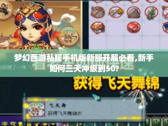 梦幻西游私服手机版新服开服必看,新手如何三天冲级到50?