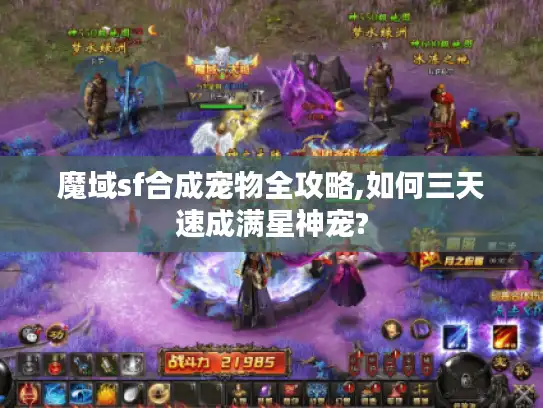 魔域sf合成宠物全攻略,如何三天速成满星神宠?