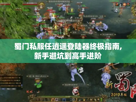 蜀门私服任逍遥登陆器终极指南,新手避坑到高手进阶