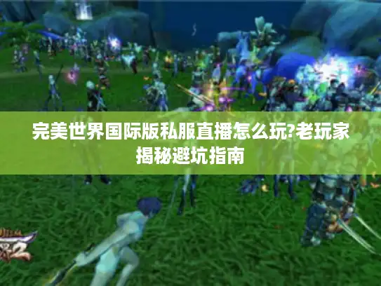 完美世界国际版私服直播怎么玩?老玩家揭秘避坑指南