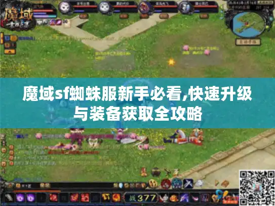 魔域sf蜘蛛服新手必看,快速升级与装备获取全攻略 魔域sf蜘蛛服新手必看,快速升级与装备获取全攻略